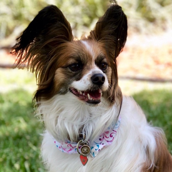 Meet your Posher, Danielle - Picture 1 of 2